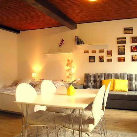 Apartma Riverbank Studio *
